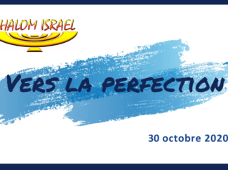 Gérald Fruhinsholz – Tendre vers la perfection