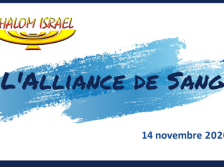 Gérald Fruhinsholz – L’Alliance de Sang