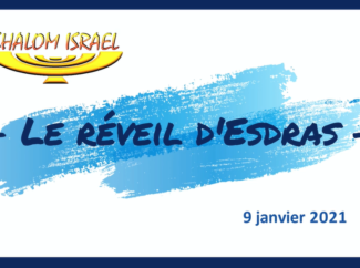 Gérald Fruhinsholz – Le réveil d’Esdras