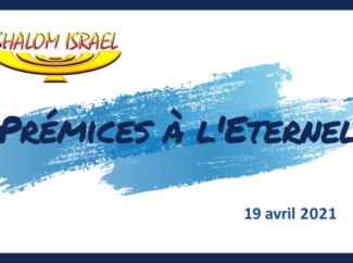 Gérald Fruhinsholz – Prémices à l’Eternel