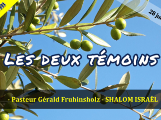 Gérald Fruhinsholz – Les 2 témoins