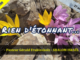 Gérald Fruhinsholz – Rien d’étonnant de Sa part