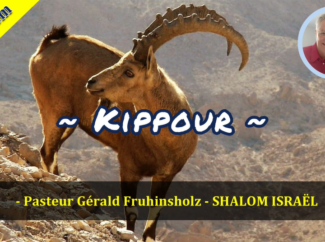 Gérald Fruhinsholz – Kippour
