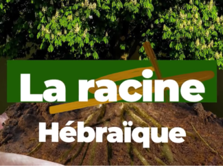 Jacques COLANT – La racine hébraïque