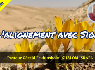 Gérald Fruhinsholz – L’alignement avec Sion