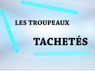 Jacques COLANT – L’enlèvement de l’Eglise : Les troupeaux tachetés