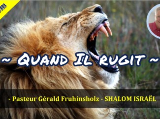 Gérald Fruhinsholz – Quand il rugit