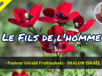 Gérald Fruhinsholz – Le Fils de l’Homme