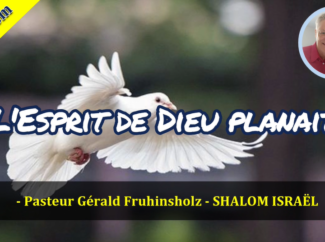 Gérald Fruhinsholz – L’Esprit de Dieu planait