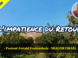 Gérald Fruhinsholz – L’impatience du retour