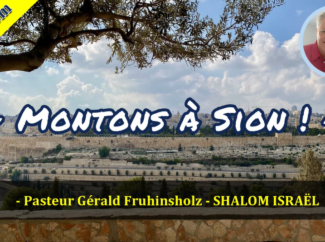 Gérald Fruhinsholz – Montons à Sion !
