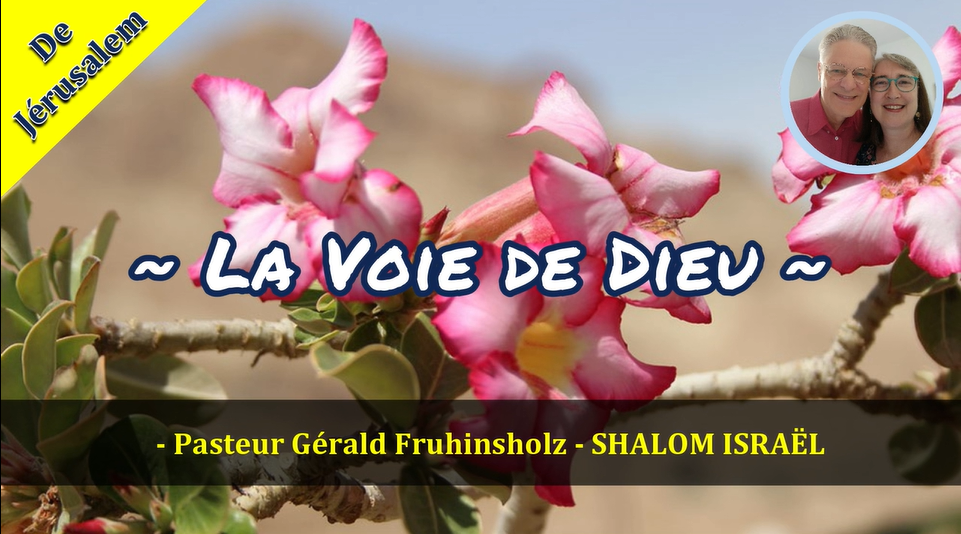 Gérald Fruhinsholz La voix de Dieu Biblica