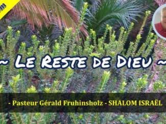 Gérald Fruhinsholz – Le Reste de Dieu