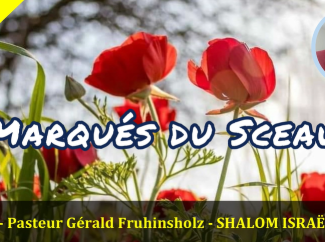 Gérald Fruhinsholz – Marqués du Sceau