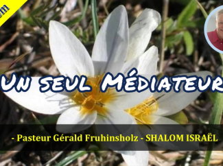 Gérald Fruhinsholz – Un seul médiateur