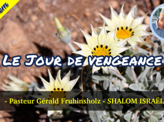 Gérald Fruhinsholz – Le Jour de vengeance