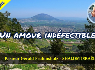 Gérald Fruhinsholz – Un amour indéflectible