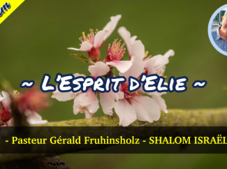 Gérald Fruhinsholz – L’Esprit d’Elie