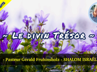Gérald Fruhinsholz – Le Divin Trésor