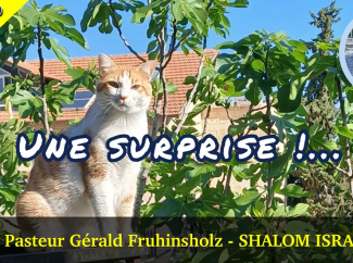 Gérald Fruhinsholz – Une surprise !