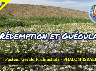 Gérald Fruhinsholz – Rédemption et Guéoula
