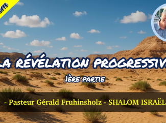 Gérald Fruhinsholz – La révélation progressive